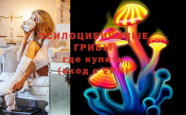 PSILOCYBIN Магадан
